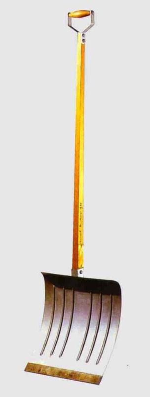 1915 in advance of the broken arm.jpg